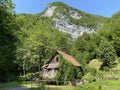 Old sawmill plant with water turbine or mill of the KovaÃÂ family, Zamost - Gorski kotar, Croatia /Stari pogon ÃÂ¾age